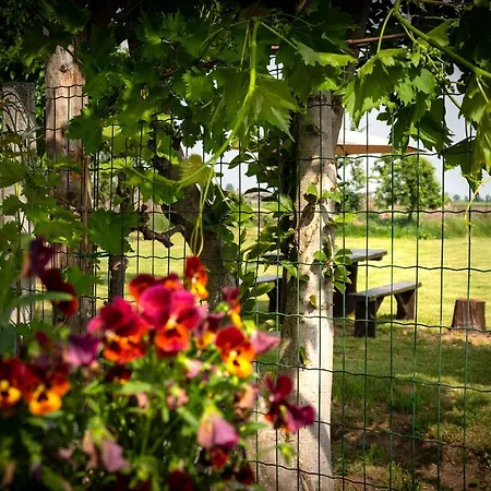 Suma Si Casa Cesare - 2000 Mq Di Giardino A Vostra Disposizione Hébergement de vacances